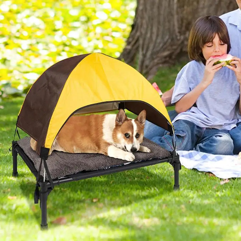 Outdoor Elevated Dog Bed Raised Pet Cot With Removable