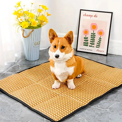 Dog Mat Cooling Summer Pad Mat For Dogs Rattan Blanket